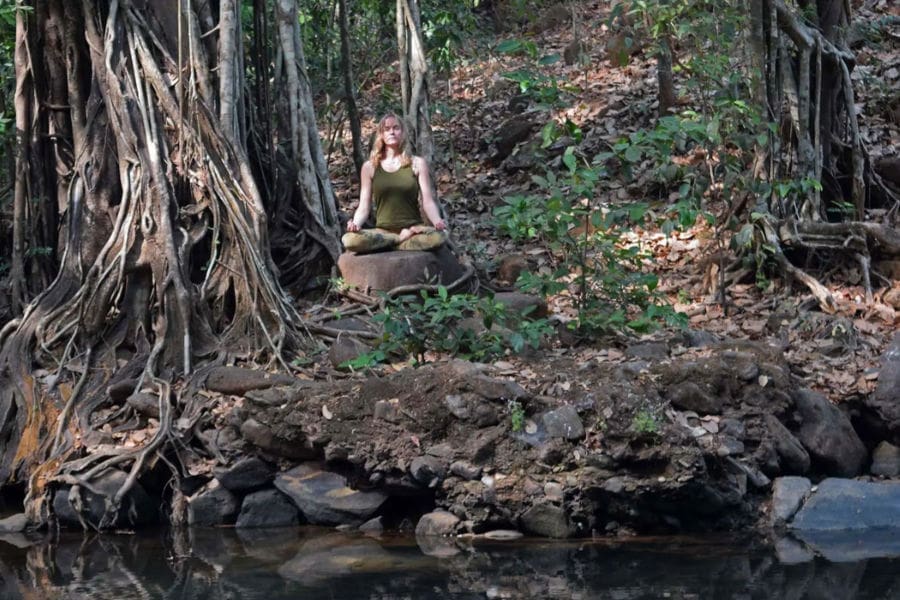 Meditation Under A Banyan Tree | The Path Of Tantra Yoga