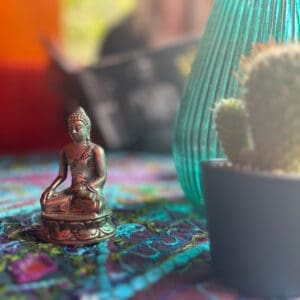 Buddha And Cactus | Boho Caravan